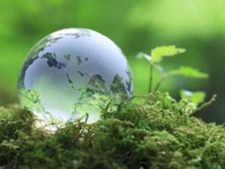 Eco Glass Globe and Green Moss