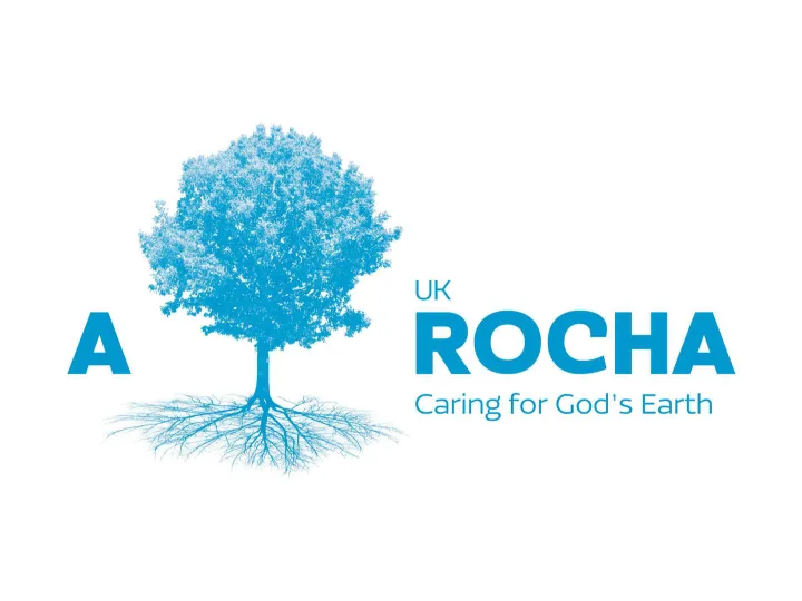 Aruk_resized&Resizedcanvas