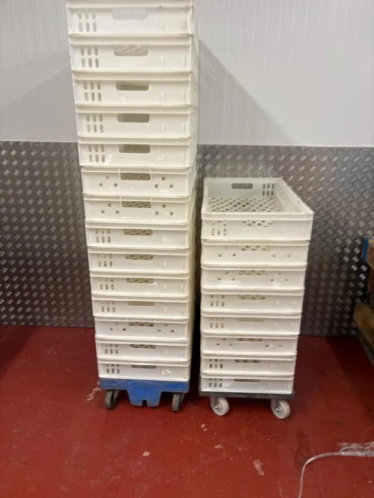 Bak Tray 4