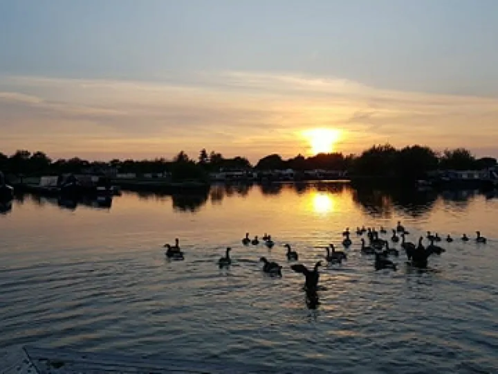 Overwater June Sunset