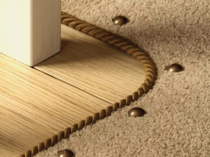 Carpet Maintenance