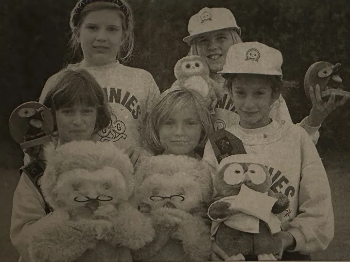 Tarvin Brownies Owl Appeal