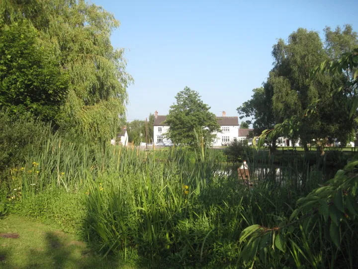 9929f2b7-3b95-4f7e-Ad10-55345e539b36_1_105_c