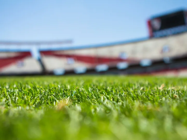 Close-up of grass with a blurred stadium background under a clear sky.
