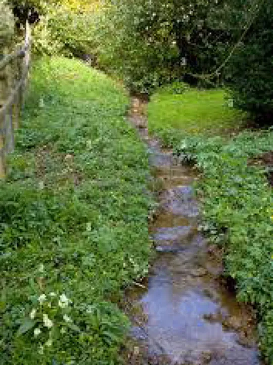 Stream Through Garden