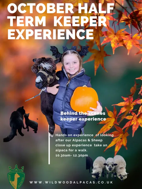 Autumn Half Term Poster