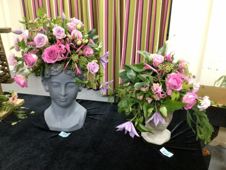 Tarvin Online – Img_0550