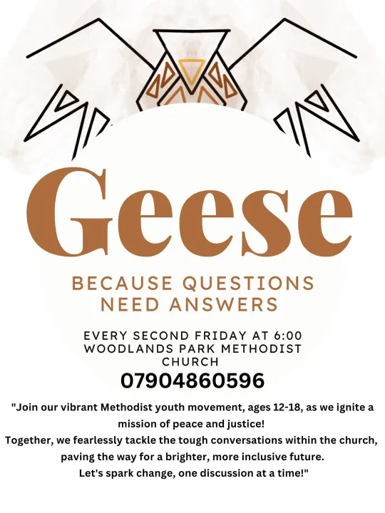 Geese flyer