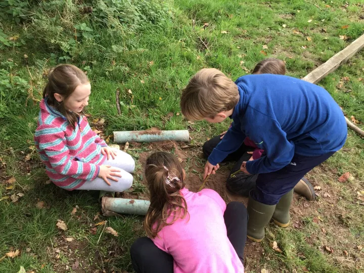 Forest school