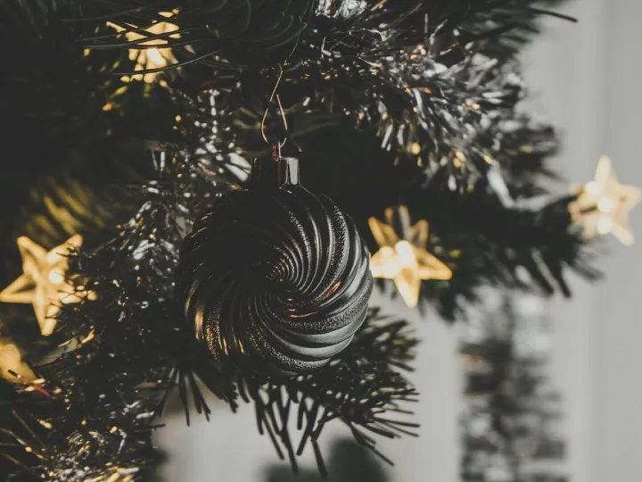 Christmas, christmas tree, christmas ball, christmas lights, tree decorations, lighting, fir tree, christmas bauble, christmas ornaments, christmas decoration, christmas decor, advent, christmas time, christmas motif, holidays, december, ornaments, bauble