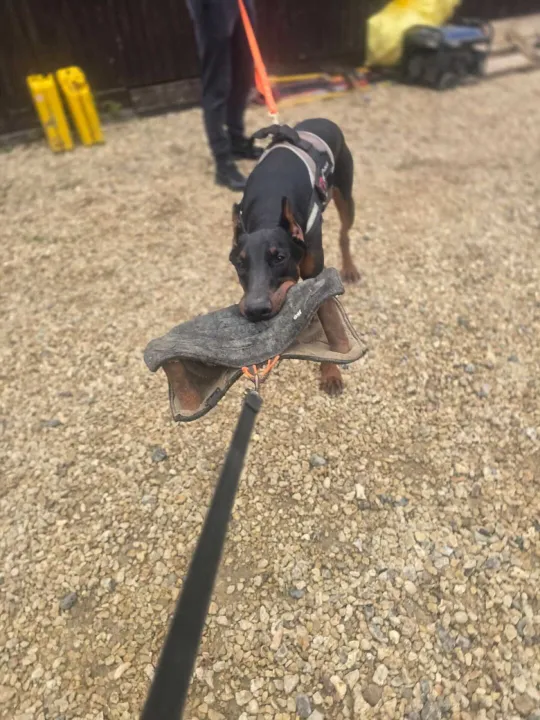 Whatsapp Image 2025-11-03 At 08