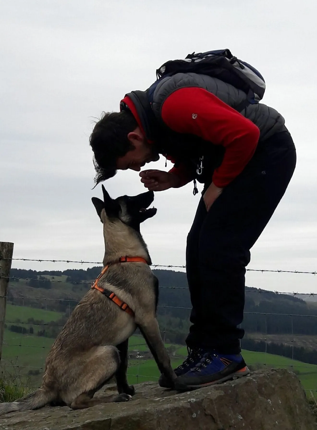 Chris Brooks face to face with his Belgian Malinois on a Cheshire hillside