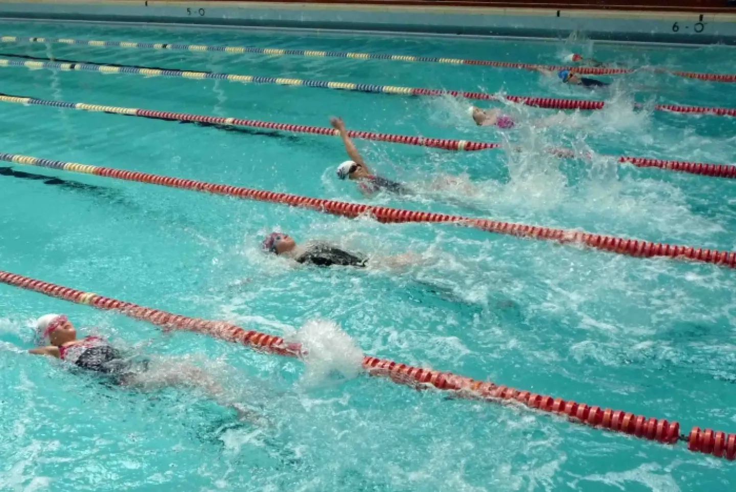 swimming gala