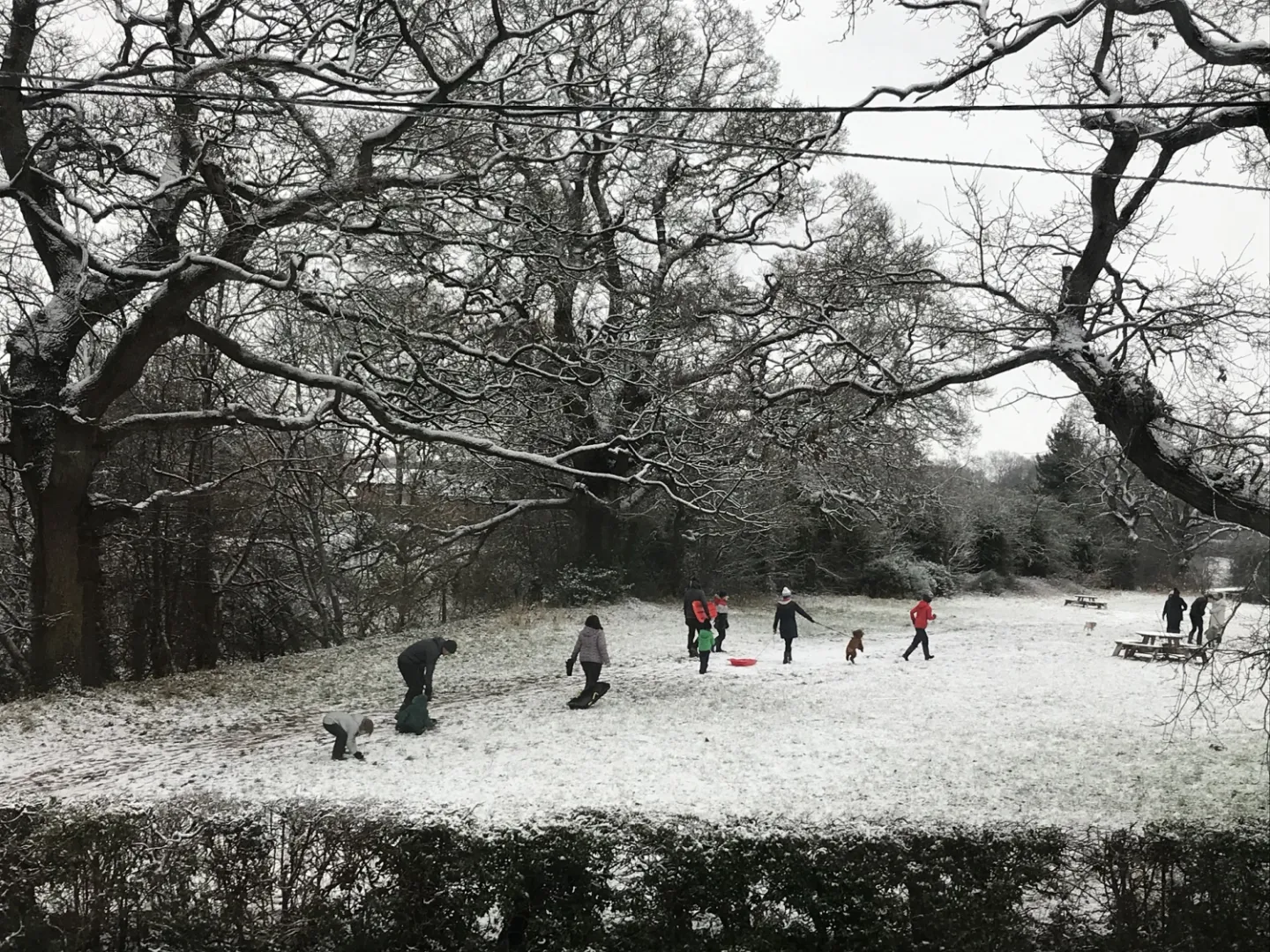 turnpike snow
