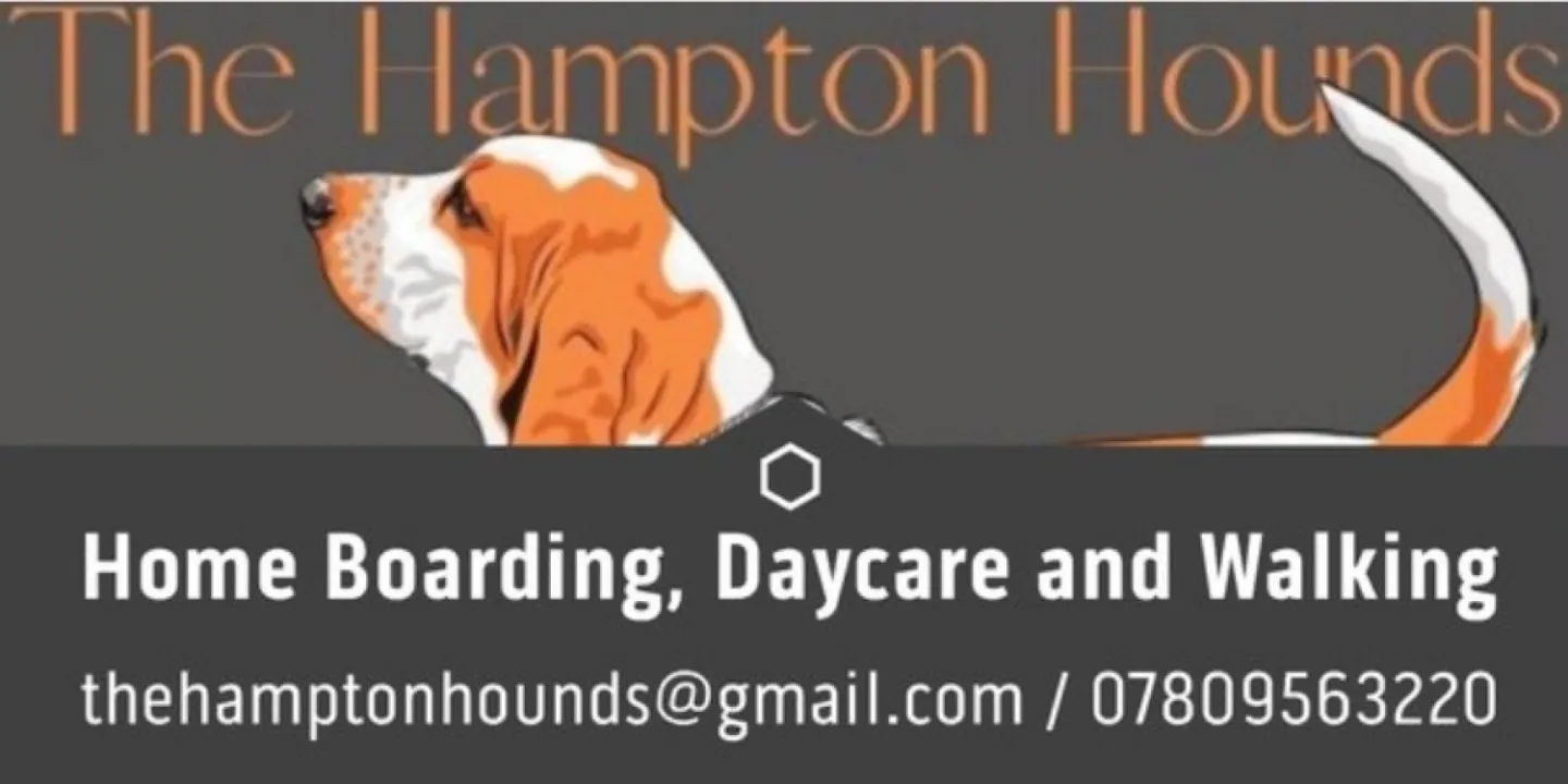hampton hounds