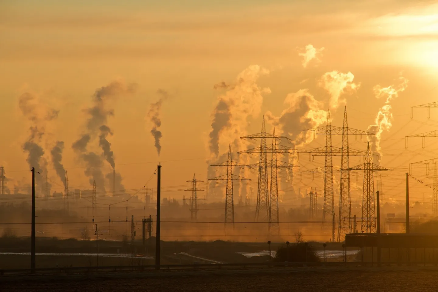 Climate energency