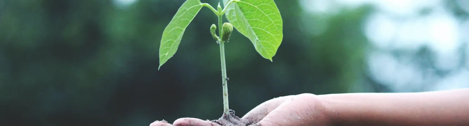climate toolkit