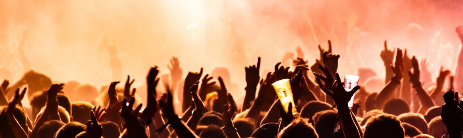 Concert Goers