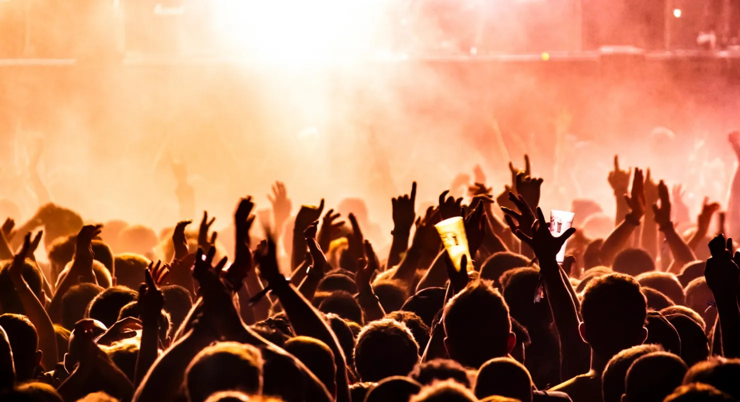 Concert Goers