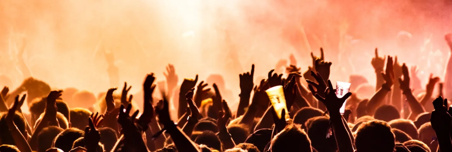 Concert Goers