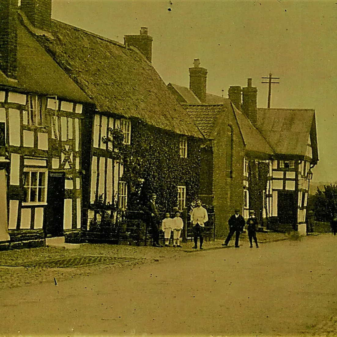 The Nest