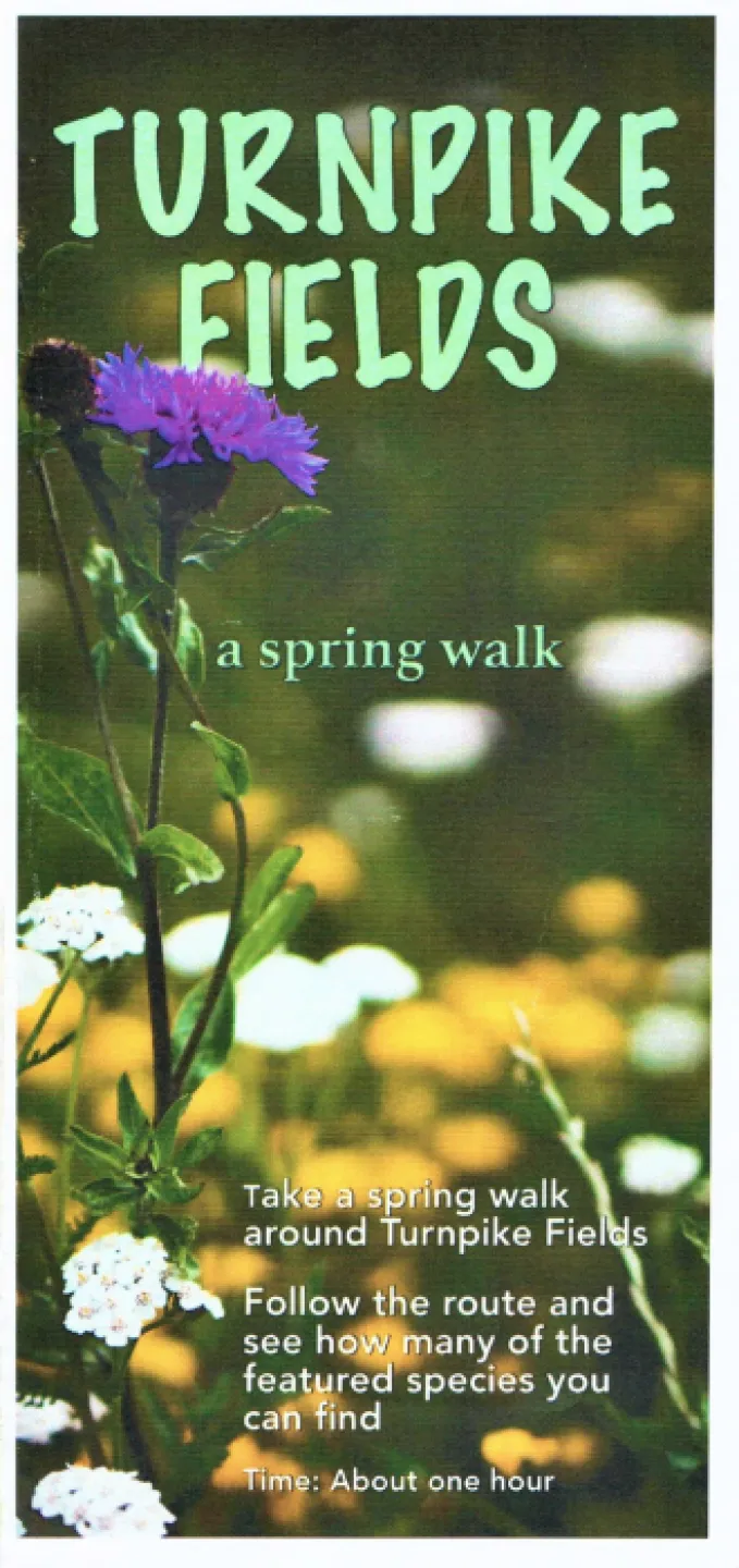Leaflet1