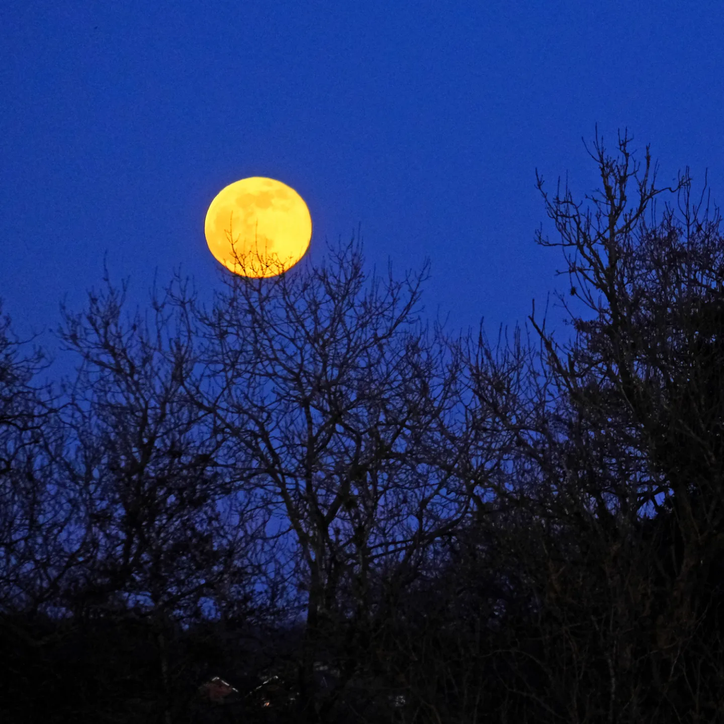 #R Moonrise F2847