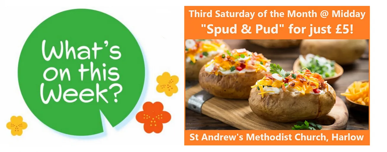 STA &ndash; Spud and pud