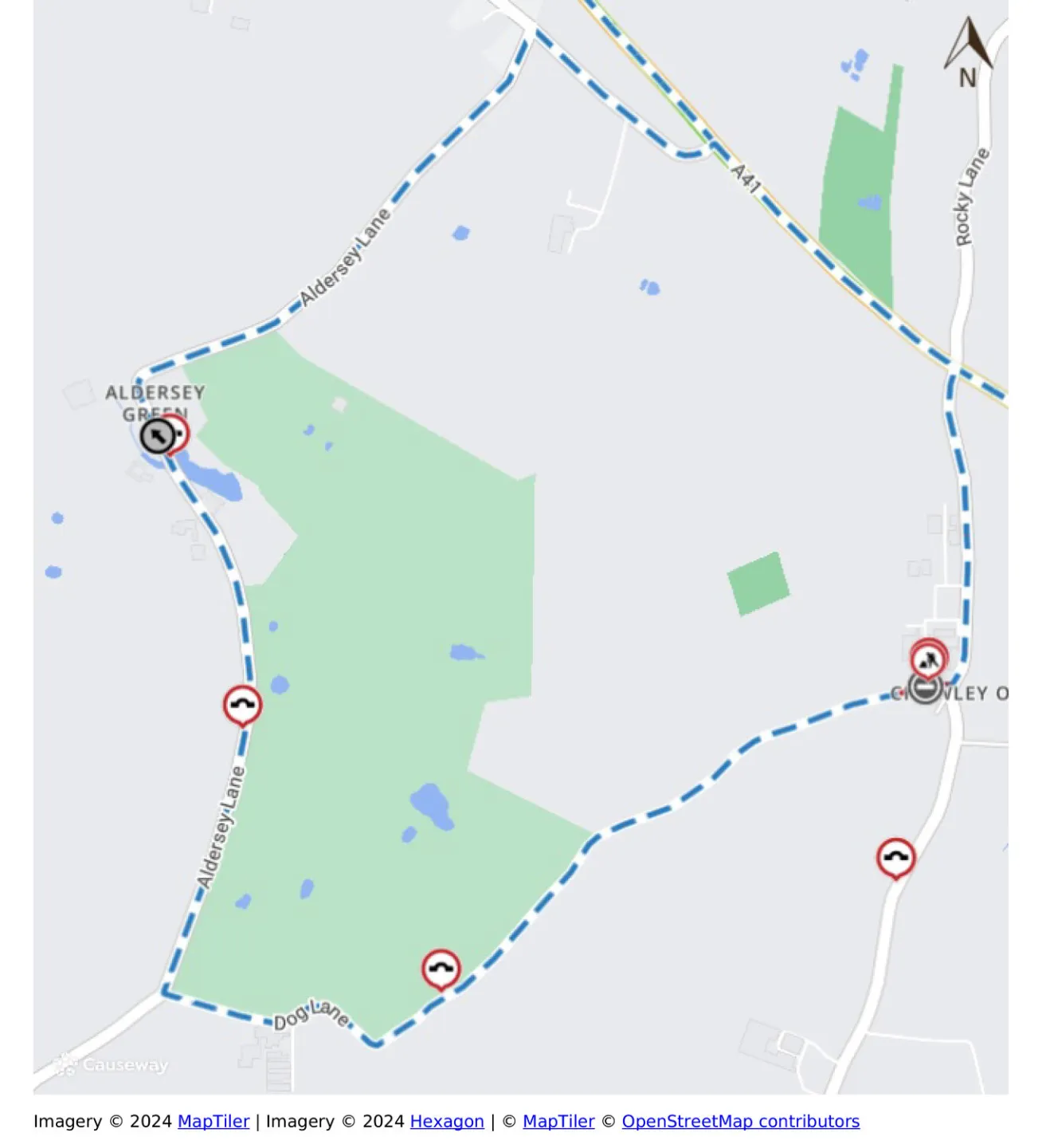Dog Lane