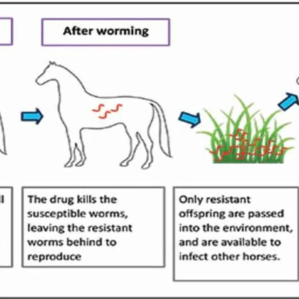 Resistance Testing