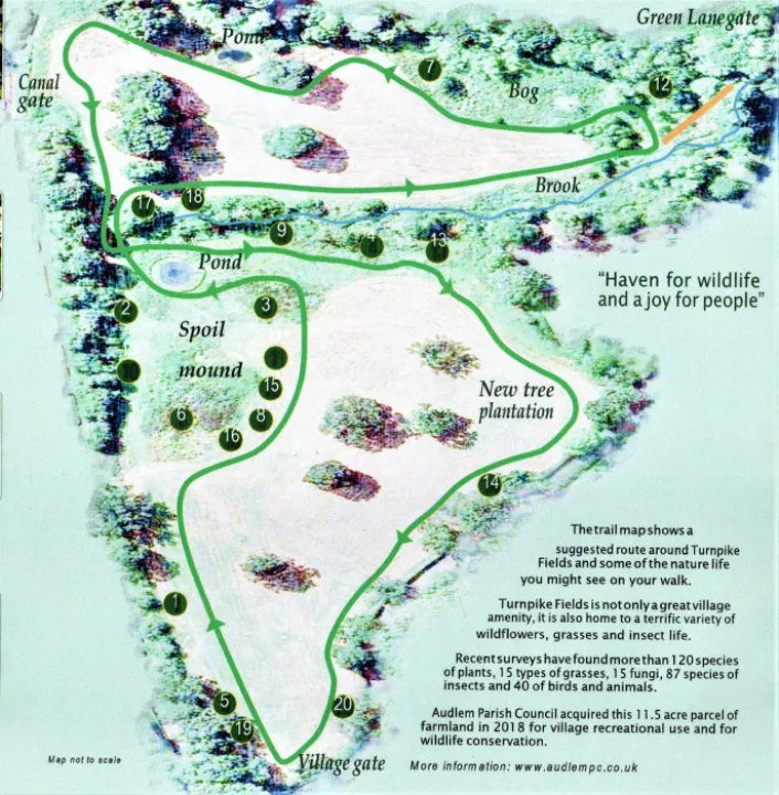 Leaflet2