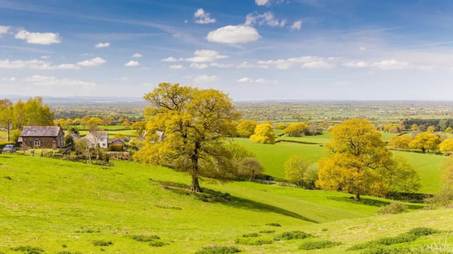 The Cheshire Plain from Burwardsley