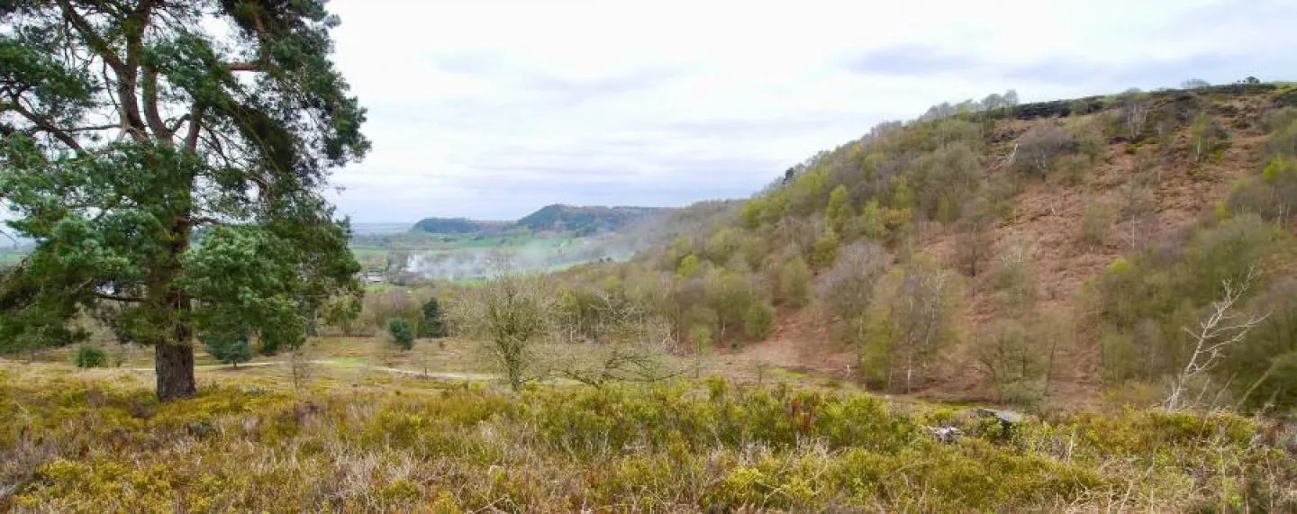 View across Bickerton Hill to Raw Head