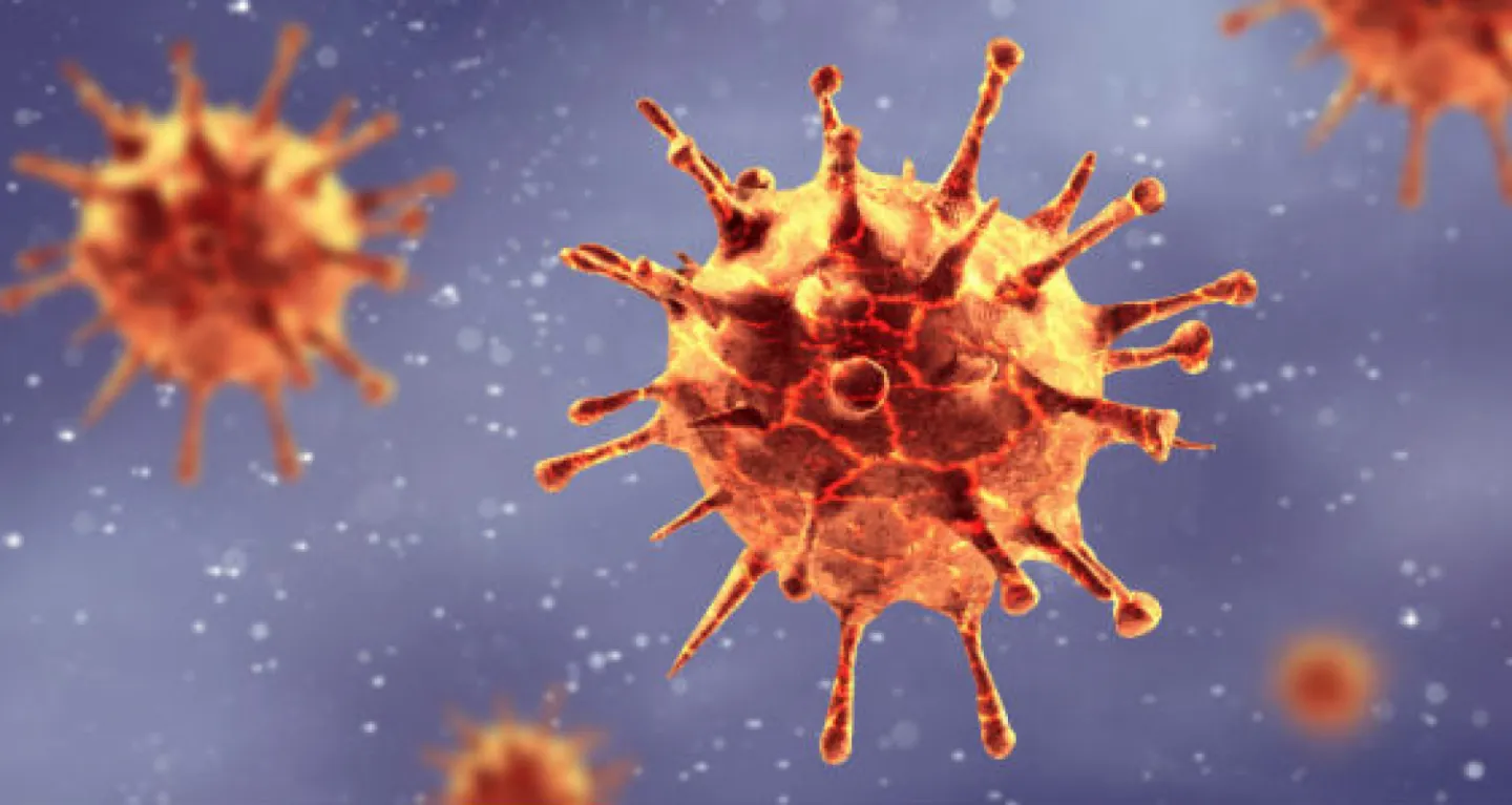 Covid – 19 Virus