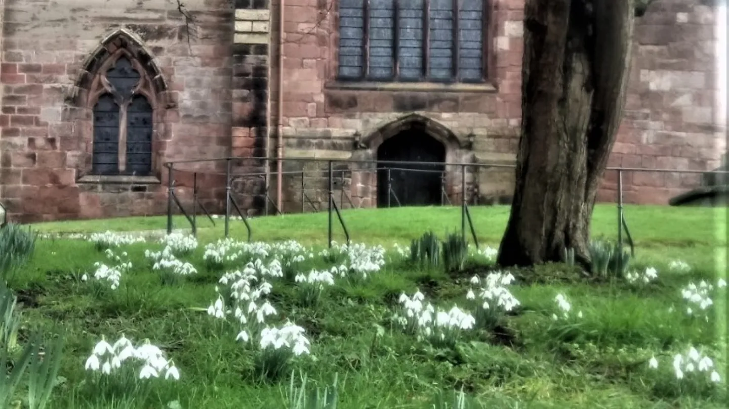 church snowdrops