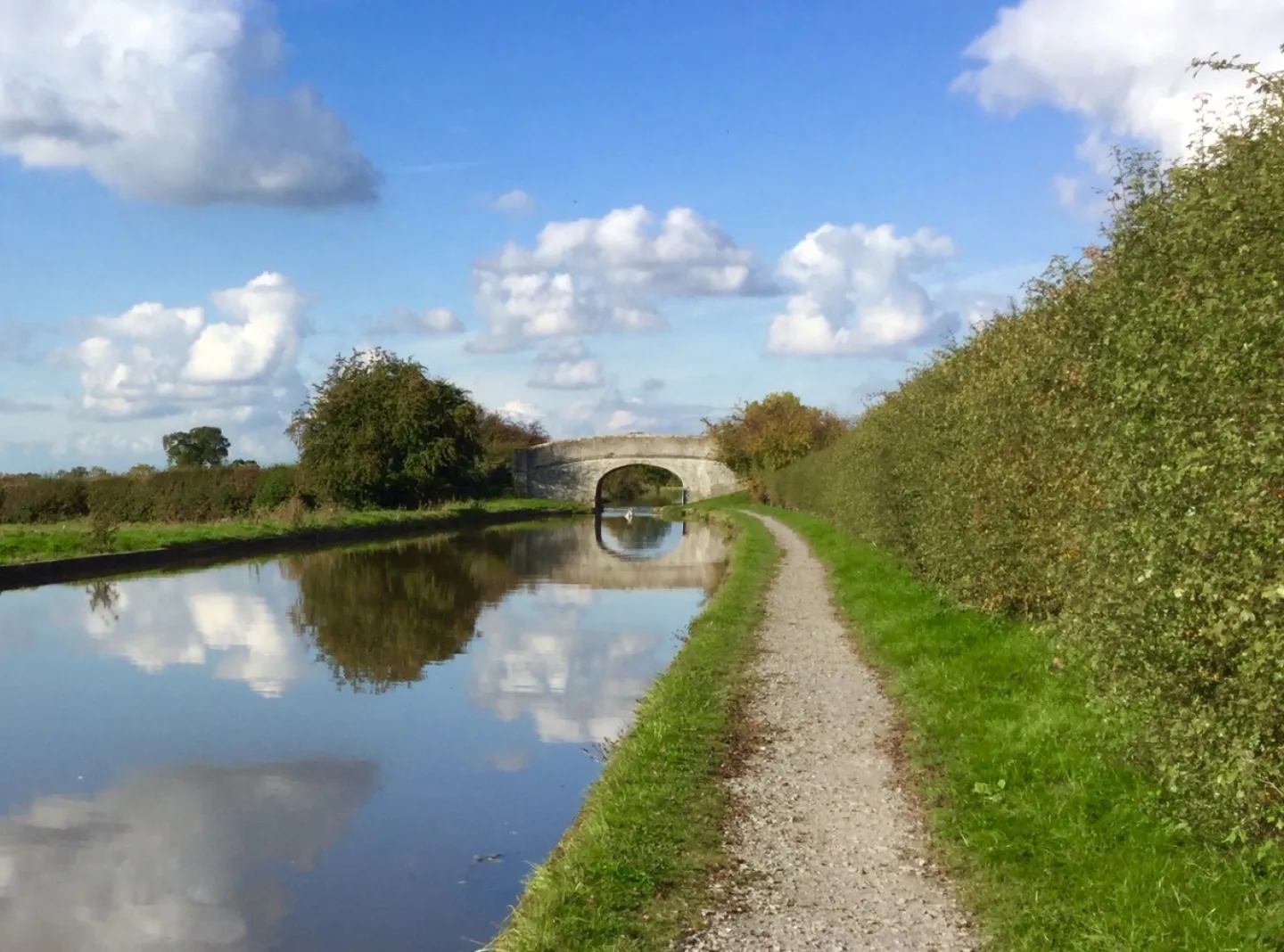 bridge 80