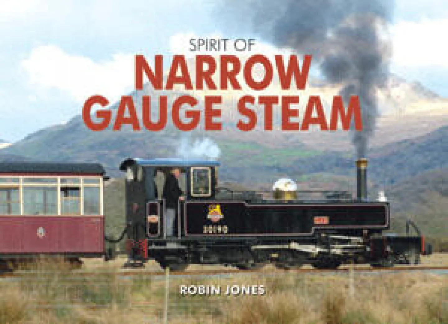 Narrow Gauge Steam