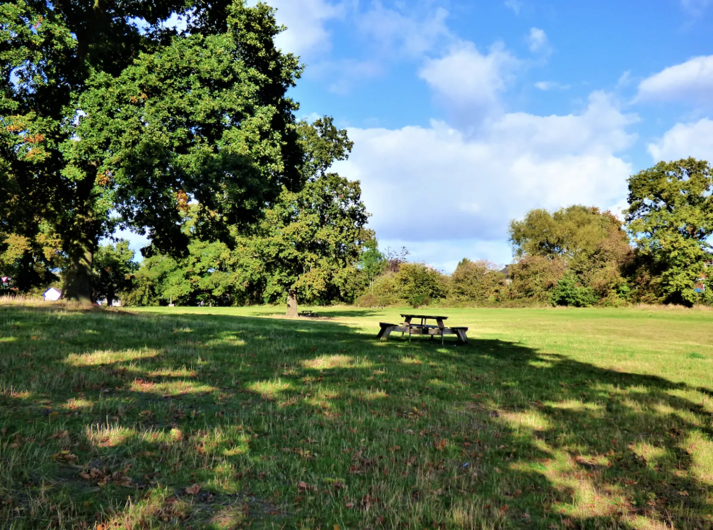 Turnpike Field