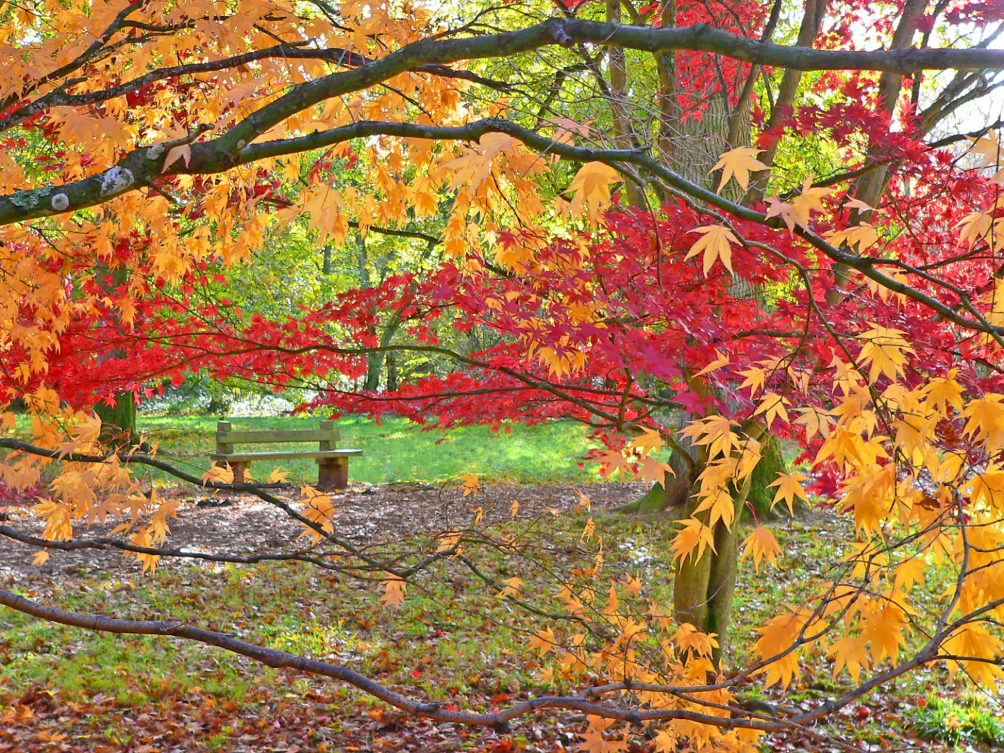 Best seat in the House 1