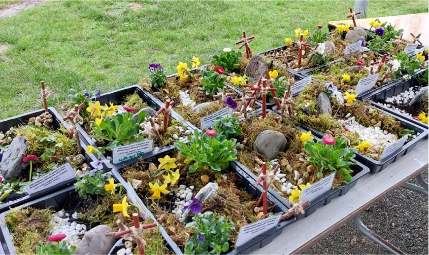 A few of the completed gardens