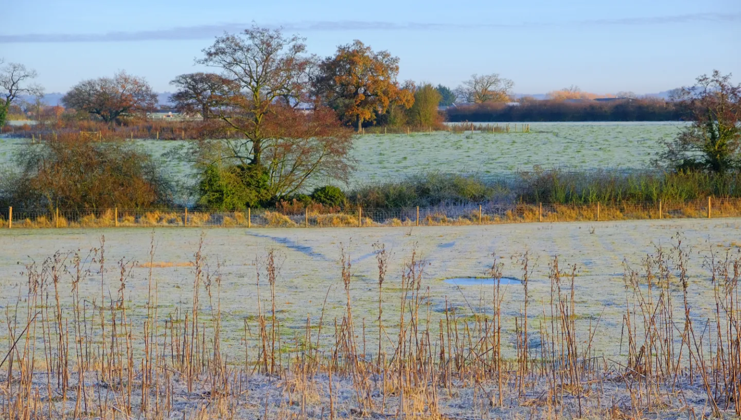 RR Fields of Frost_f4464