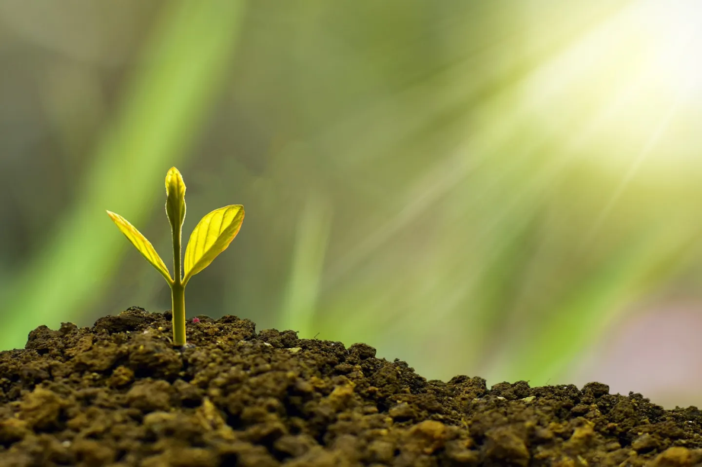 Investment, concept, business