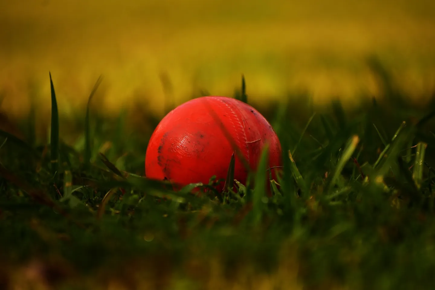 Ball, cricket, sports