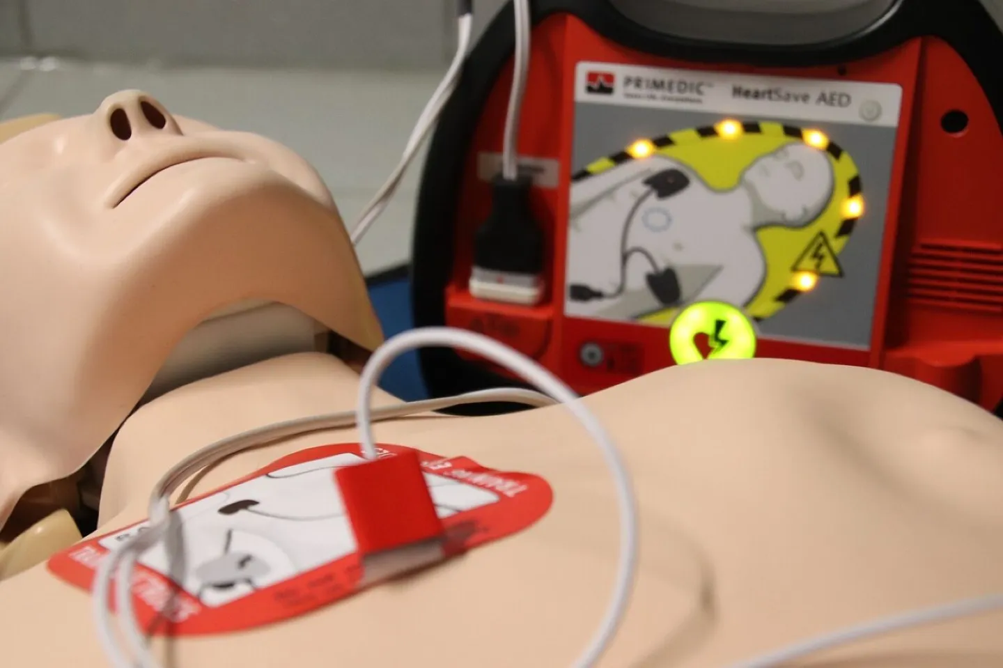 First aid, puppet, exercise