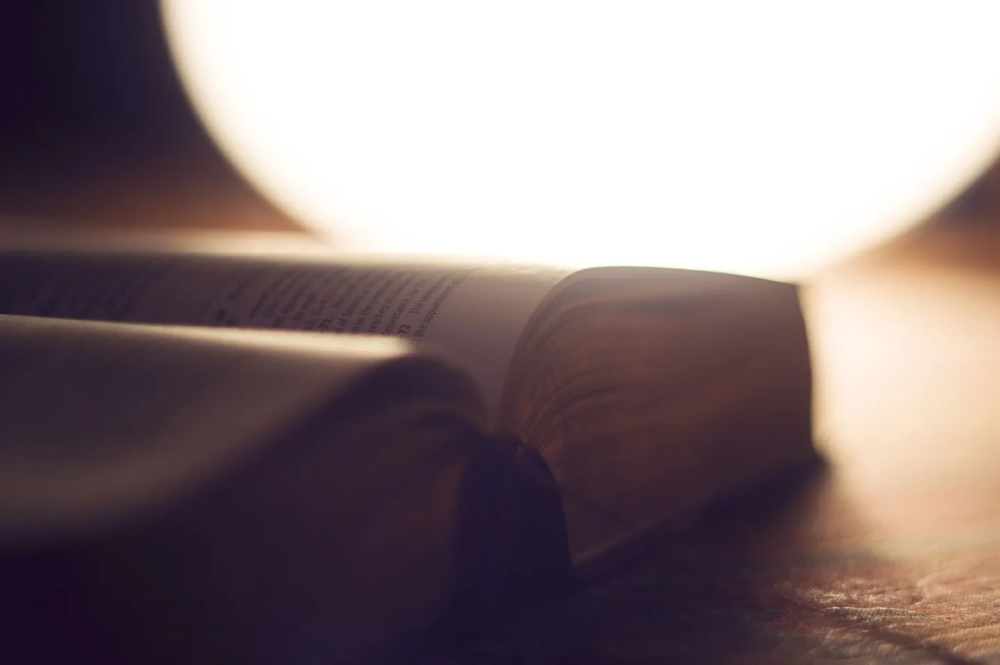Bible, blur, book, close up, open, open book, open bible, read, reading, bible reading, bible study, study, pages, paper, knowledge, wisdom, learning, bible, bible, bible, bible, bible, book