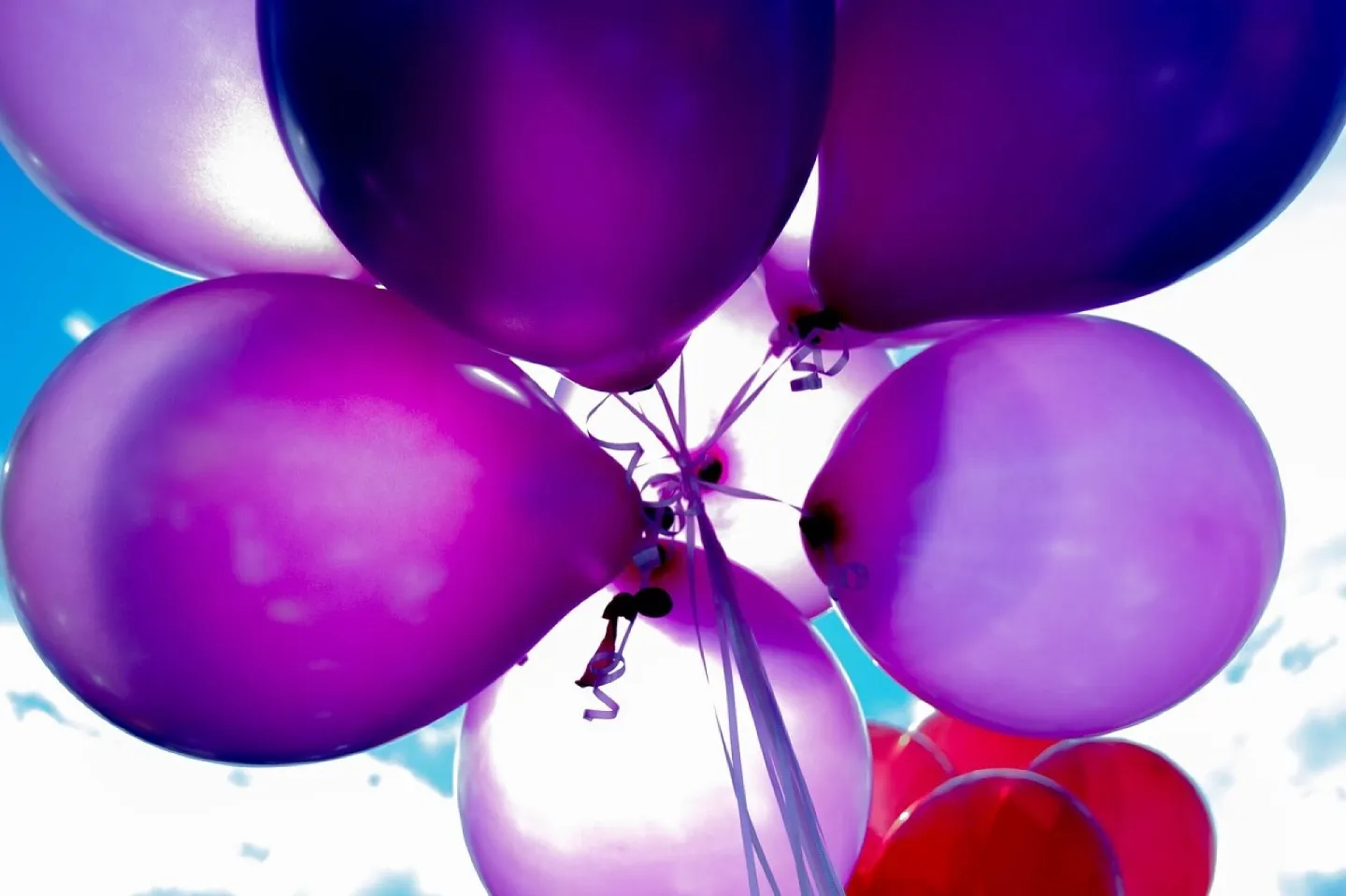 Balloons, celebration, helium, party, happy