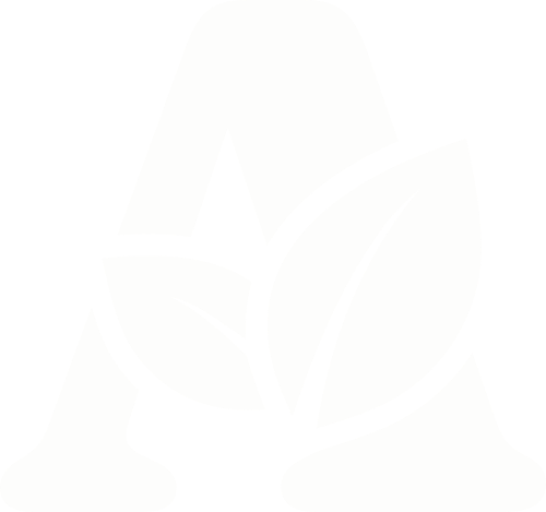 A – Transparent White