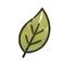Icon-Leaf-Alpha