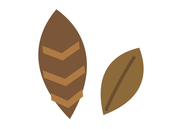 A hand-drawn pine cone beside a fallen leaf