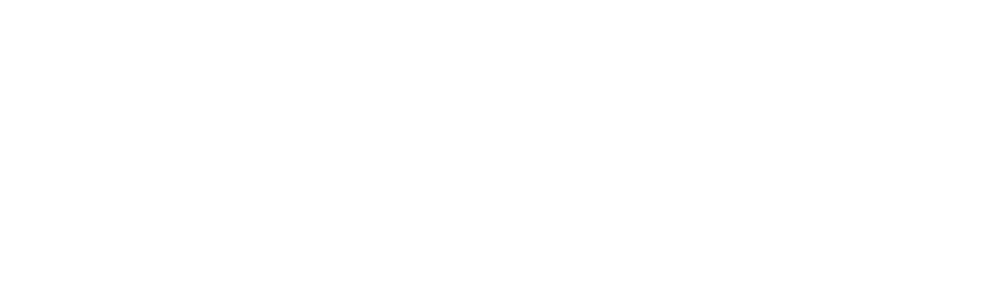 Irieland Logo